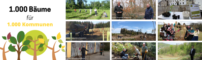 Unsere Kommunen in Aktion: Dargestellt sind neun unterschiedliche kommunale Pflanzaktionen. Auf den Bildern sind frisch gepflanzte oder zu pflanzende Bäume an unterschiedlichen Standorten (wie beispielsweise Wälder) zu sehen. Teilweise posieren Personen im Rahmen der Pflanzungen.