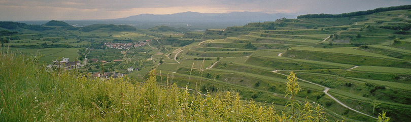 Landschaftsbild zeigt ländlichen Raum.